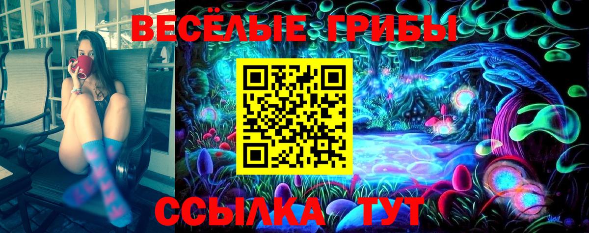 Галлюциногенные грибы ЛСД  Псилоцибиновые грибы GOLDEN TEACHER  Амурск  Вход с VPN 