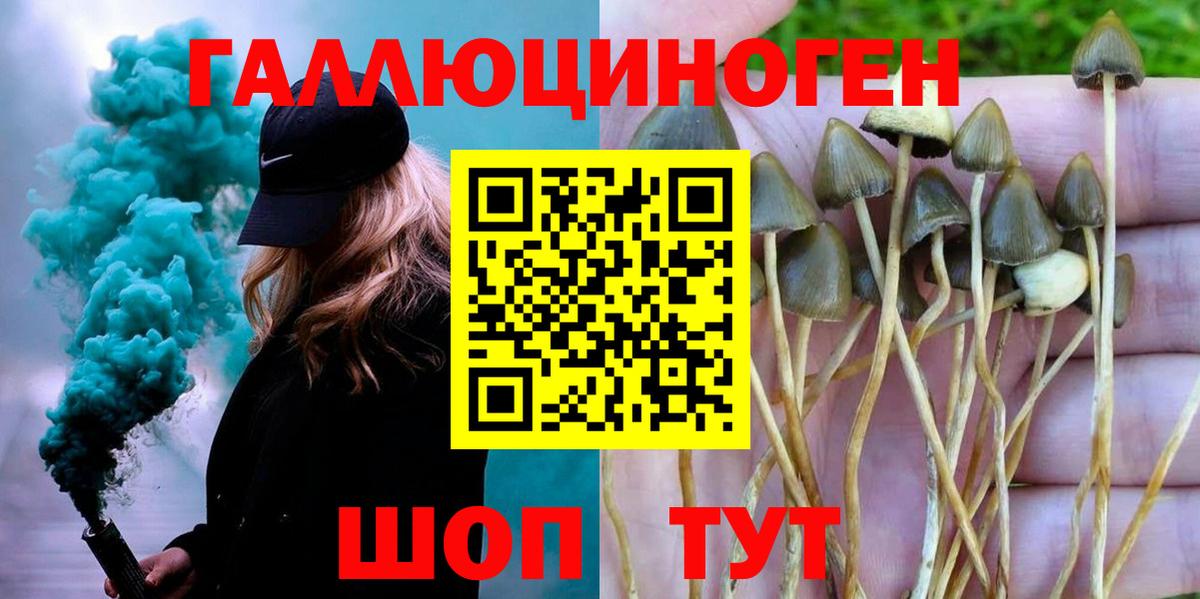 Галлюциногенные грибы прущие грибы Амурск